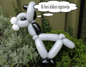 De Ezel in ezel weetjes van de Haagse Ballonnenboer