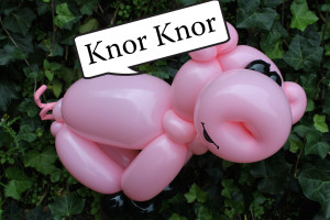 Het varken bij de dieren weetjes van de Haagse Ballonnenboer