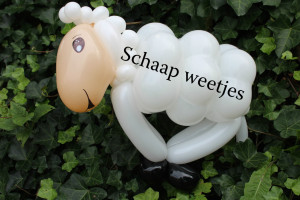Schaap weetjes in de leuke dingen pagina van de Haagse ballonnenboer