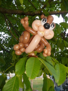 Een eekhoorn als ballonfiguur voor een verjaardag"