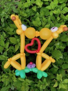 De kussende ballon giraffen voor een cadeau"