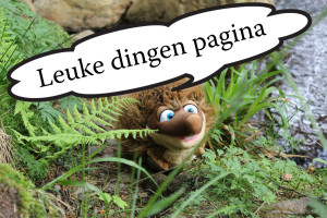 Leuke dingen pagina van de Haagse Ballonnenboer en Stekeltje