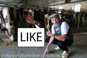 200ste LIKE voor de Haagse Ballonnenboer op facebook 