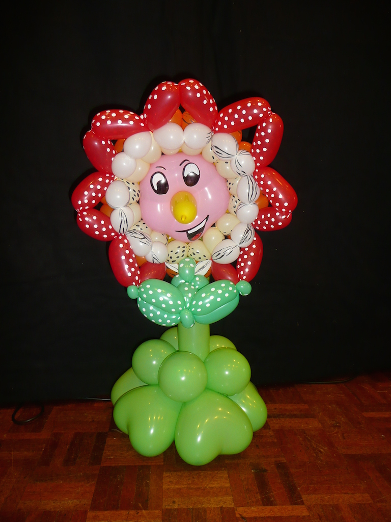 Laat uw decoratie verzorgen door de Ballonnenboer !