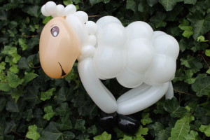 Ballondieren van de Haagse Ballonnenboer 